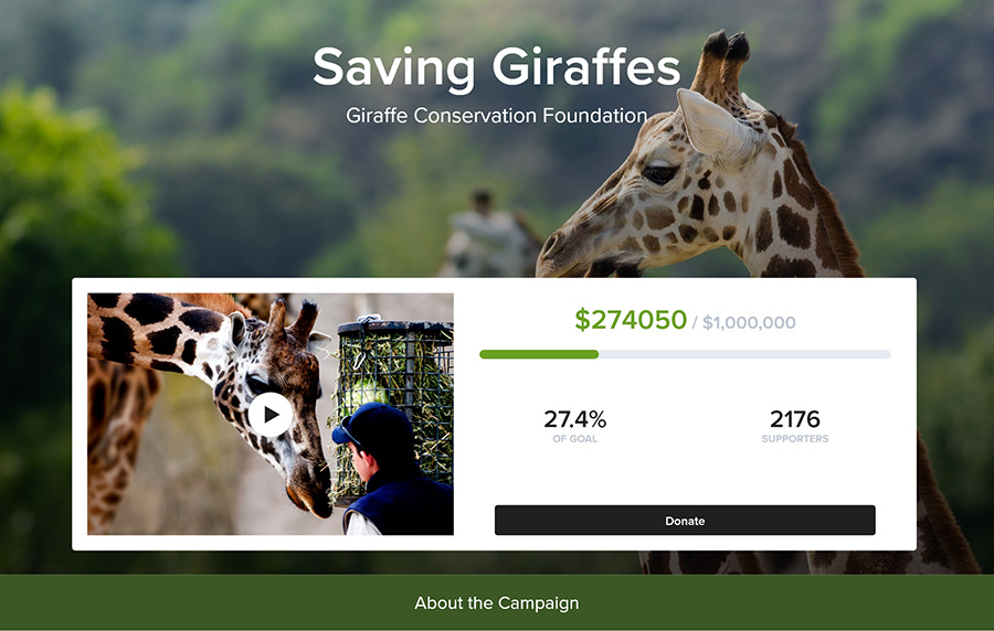 Giraffe Campaign